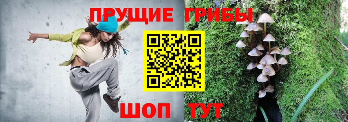 Галлюциногенные грибы Psilocybine cubensis Тара