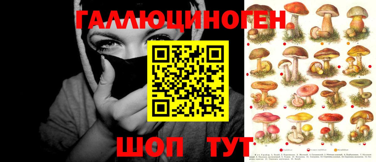 Тара  Псилоцибиновые грибы мухоморы  Вход с VPN 